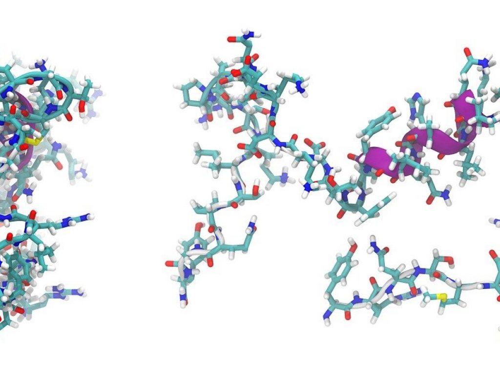 adrenomedullin-peptide-molecule-872350 adrenomedullin, peptide, molecule-872350.jpg